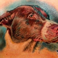 Realism style colored back tattoo of very detailed dog
