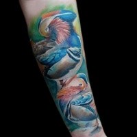 Realism style colored beautiful birds tattoo on forearm