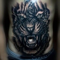 Realism style colored belly tattoo of roaring tiger face