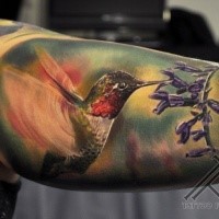 Realism style colored biceps tattoo of humming bird and flowers