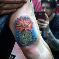 Realism style colored biceps tattoo of small cactus with flower
