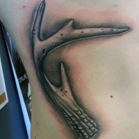 Realism style colored big deer horn tattoo on back