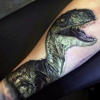 Realism style colored dinosaur tattoo on forearm