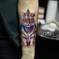 Realism style colored forearm tattoo fo tiger stylized with stars