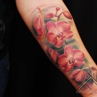 Realismus Stil farbiges Unterarm Tattoo mit der schönen Blumen