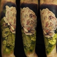 Realism style colored forearm tattoo of white rose