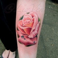 Realism style colored forearm tattoo of rose with water drops