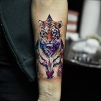 Realism style colored forearm tattoo of big tiger