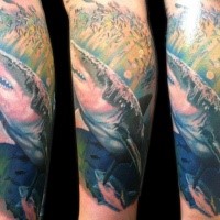 Realism style colored leg tattoo of detailed underwater shark