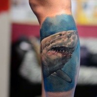 Realism style colored leg tattoo of bloody shark