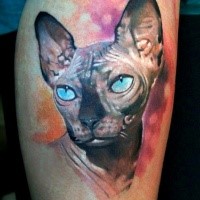 Realism style colored leg tattoo of Sphinx cat