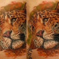 Realism style colored leopard tattoo