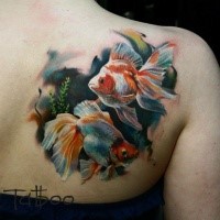 Realism style colored scapular tattoo of small beautiful fishes