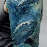 Realism style colored shoulder tattoo of surfer with underwater shark