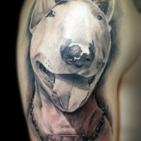 Realism style colored shoulder tattoo of dog portrait with lettering