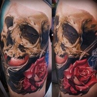 Realism style colored shoulder tattoo of human skull and rose