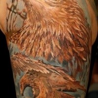 Realism style colored shoulder tattoo of eagle