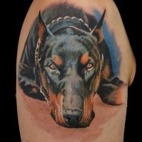 Realism style colored shoulder tattoo of sad dog