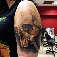 Realism style colored shoulder tattoo of cool skull