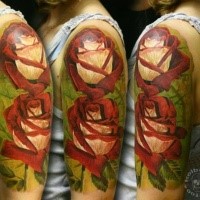 Realismusstil farbiger Schulter Tattoo der großen wunderbaren Rosen