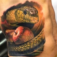 Realism style colored side tattoo of snake with snake
