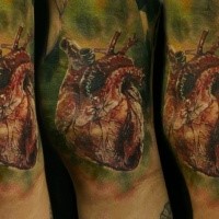 Realism style colored tattoo of very detailed human heart