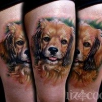 Realism style colored thigh tattoo of funny dog portrait