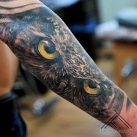Realism style colored very detailed owl tattoo of forearm