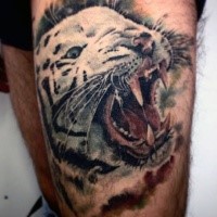 Realism style colorful thigh tattoo of white tiger