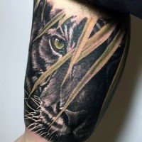 Realism style cool looking biceps tattoo of tiger in jungle