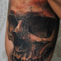 Realism style detailed biceps tattoo of human skull