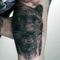 Realism style very detailed black panther tattoo on biceps