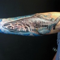 Realism style very detailed colored shark tattoo on forearm