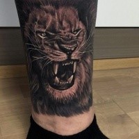 Realismus Stil sehr detailliertes Bein Tattoo mit brüllendem Löwen