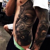 Realism style very detailed side and forearm tattoo of big lion and wolf