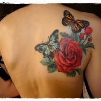 Realist multicolored nature tattoo with butterflies and flower on shoulder