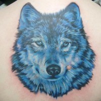 Tattoo von realistischem blauem Wolfskopf  in 3D auf dem Rücken