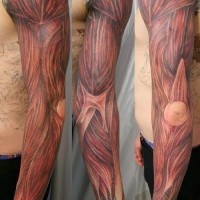 Realistic anatomy muscles tattoo on arm
