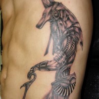 Realistic anubis tattoo on ribs