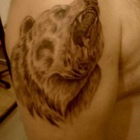 Realistic bear tattoo on half sleeve