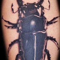 realistico scarafaggio nero e bianco tatuaggio