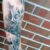 Realistisches schwarzes und graues Unterarm Tattoo mit wildem Elch