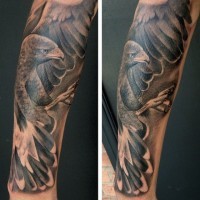 realistico nero e bianco dettagliato aquila tatuaggio su braccio