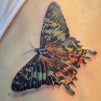 Tatuaje en el costado, mariposa con detalles pequeñas