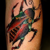 Realistic colored bug tattoo on leg