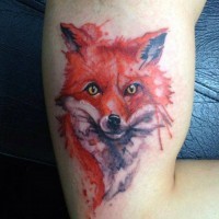 Realistic colored little steady fox tattoo on arm