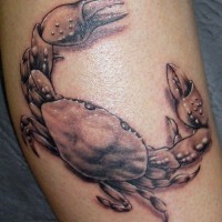 Realistic crab tattoo gray ink tattoo