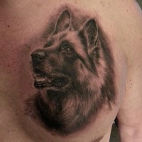 Realistischer deutscher Schäferhund Tattoo an der Brust