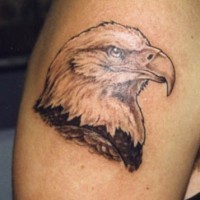 Realistic head of an eagle tattoo