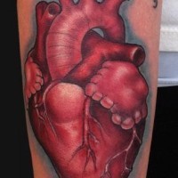 Tatuaje en el antebrazo, corazón  y inscripción larga